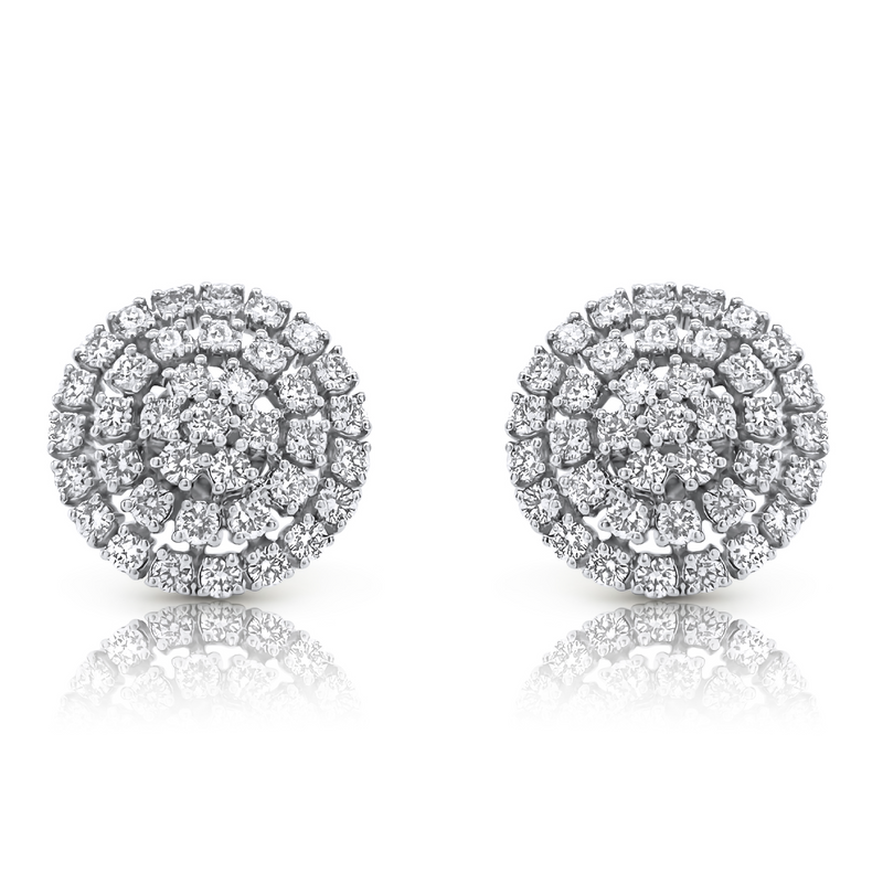 The Emma Earrings in White Gold