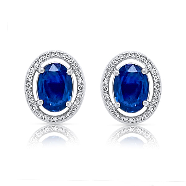 Classic Sapphire Halo Earrings - Brilat