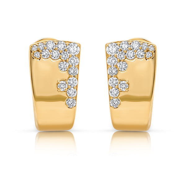 Diamond Frost Earrings