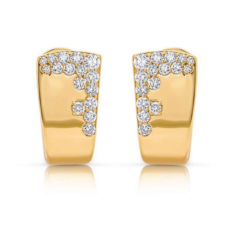Diamond Frost Earrings